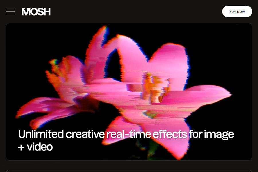 Mosh Pro - 专业视频稳定与运动模糊修复工具 截图
