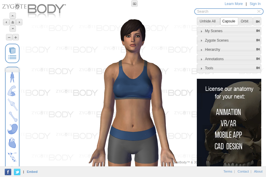 Zygote Body - 3D交互式人体解剖学探索平台 截图